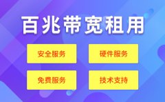 大型网站服务器租用费用一年多少钱